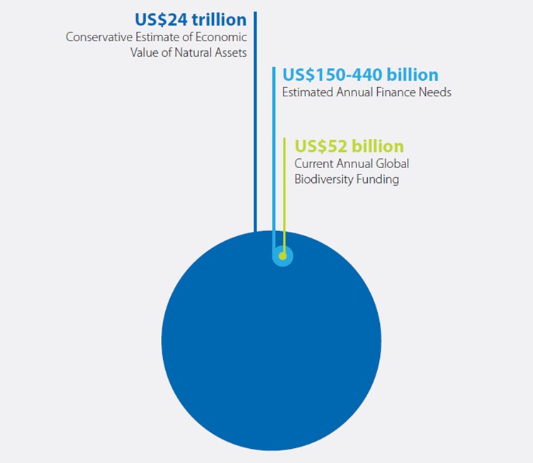 Pie chart showing breakdown of natural capital